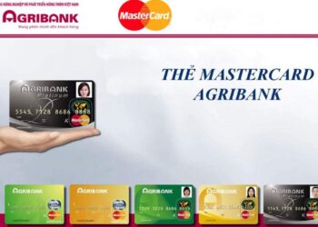 Thebank Visaothemastercardcuaagribankduocnhieukhachhangtindungdenthe 1511408370 1